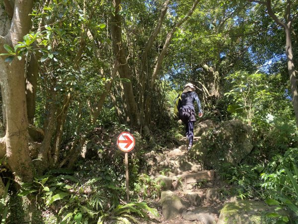 2025微笑山線大縱走尋寶集章任務-Ep.03【鳶山山系】鳶山彩壁段2893666