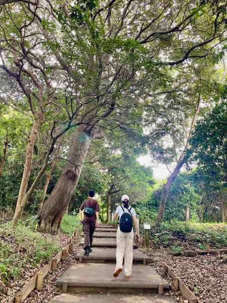 1150816 JP 藤澤市江之島3111249