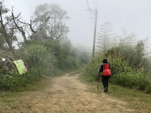 雲嘉梨子腳上大尖山314392