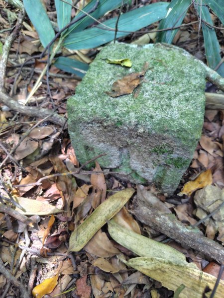 達娜伊谷-里美避難步道-巨石板步道-約富霓2788537