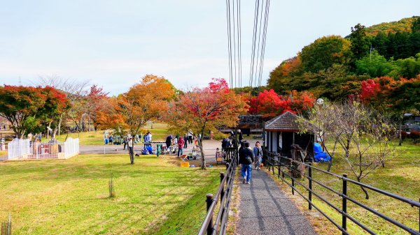 栃木縣紅葉谷大吊橋2930305