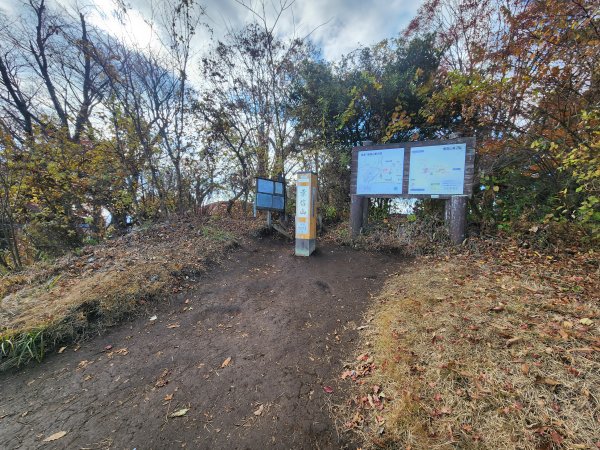 20251127陣馬山至高尾山2959086