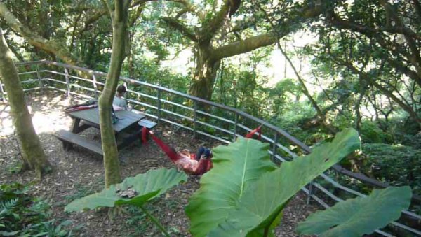 觀音山尋寶硬漢嶺/林梢步道/牛港稜山1030594