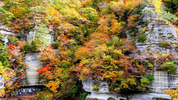 福島縣塔之斷崖2930296