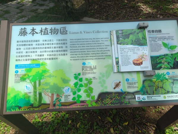 2024.06.09－墾丁國家公園2523897