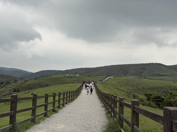 人類心中都有一座山【陽明山】3079232