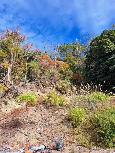 廬山六寶之武浪洋山+靜觀山202301081986240