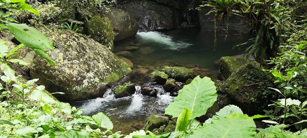 新竹內灣．馬胎古道202506212823525