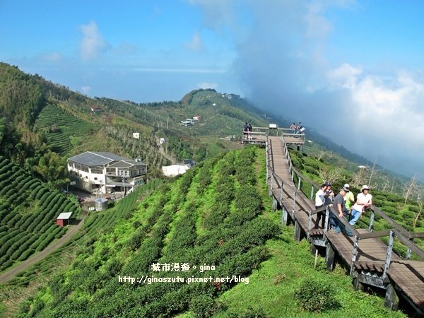 南投鹿谷~聽風~雲起~大崙山觀光茶園步道964992