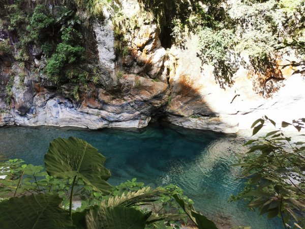 夢幻河谷，花紋石壁，碧綠溪水1792663