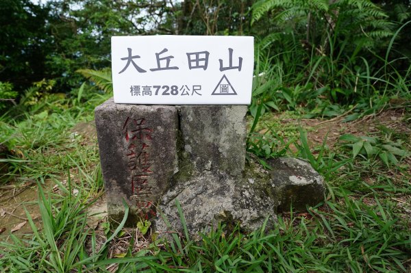 新北 新店 獅仔頭山、粽串尖、大丘田山封面