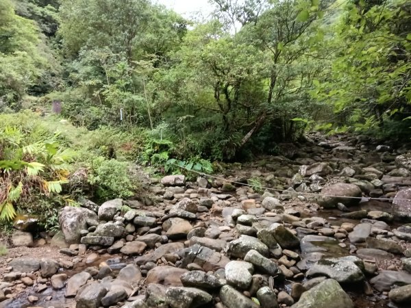 雙溪區中坑古道西線+中坑西山+內盤山土地公廟+中坑古道P字走2895316