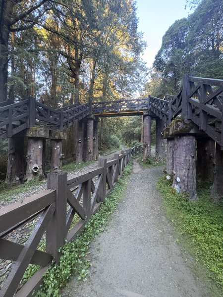 20251225塔山步道(大塔山)2970275