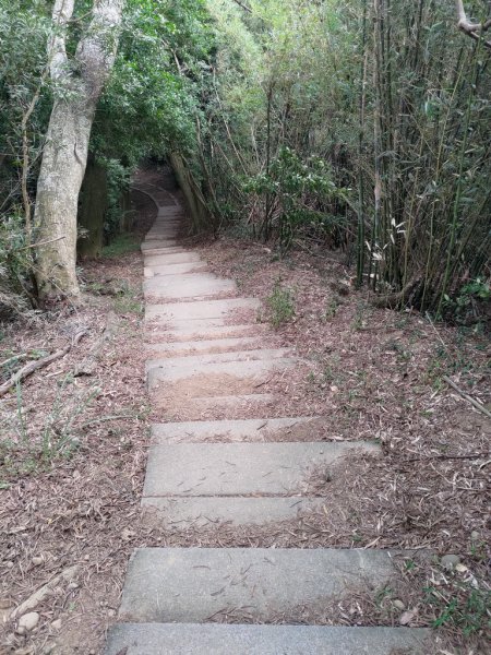 【新竹縣芎林鄉】文林古道2833085