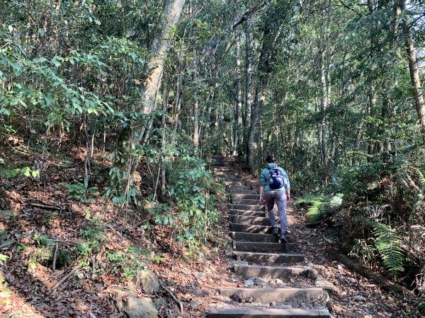 【台中】鳶嘴山｜中部天然攀岩場1351358