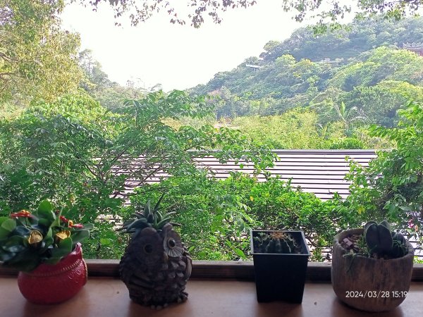 【臺北大縱走4】風櫃嘴→雙溪溝古道→五指山古道→大崙頭山北面步道→許願步道→圓覺寺步道→大溝溪→大湖2469125