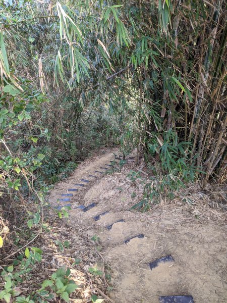 【高雄-小百岳】觀音山_稜線連峰O型縱走796552