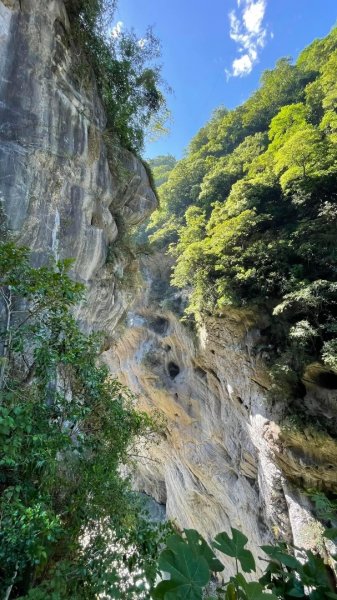 一日花蓮錐麓古道。砂卡礑步道2232878