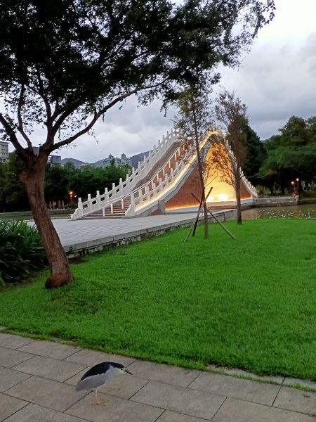 大港墘公園、大湖公園 (防災公園) - “非常愛尋寶”【走路趣尋寶，全臺齊步走】1883887