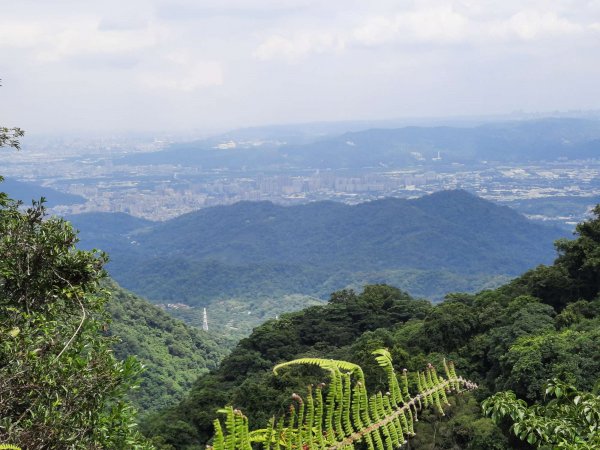 20230715 白雞三山 (鹿窟尖山-雞罩山-白雞山)，高CP好吃的食三麵屋2219479