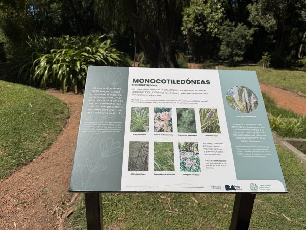 [紐約馬之行-60] 2025_1114 卡洛斯·泰斯植物園-下2954201