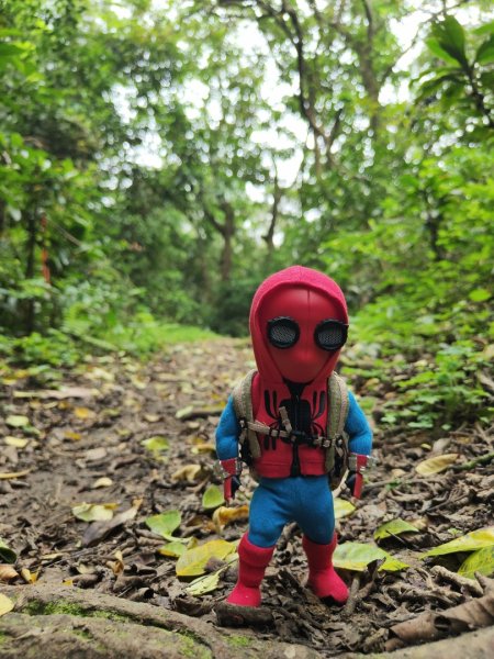 2024.04.14 倒別牛登中坑山飛鳳山O型2922815