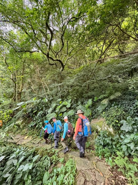 平溪步道縱走狗殷勤古道出故宮2852616