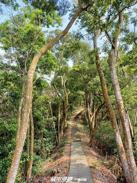 【彰化員林】綠樹林間散散步。 臥龍坡步道1691274