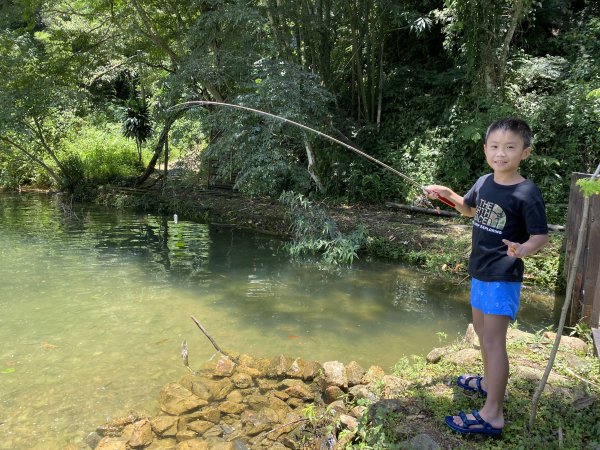 貓囒山步道1318803