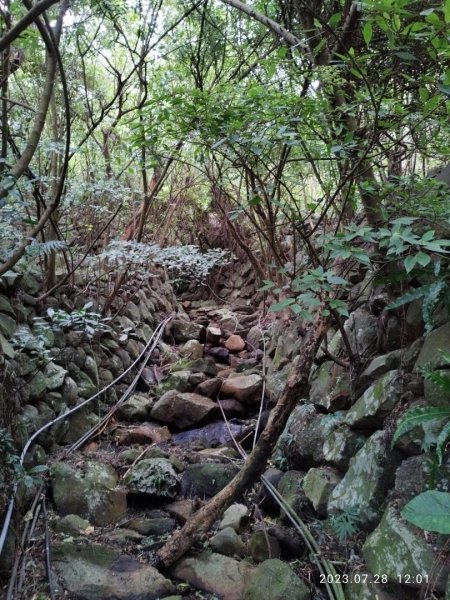 觀音山、尖山（占山）登山步道2233746