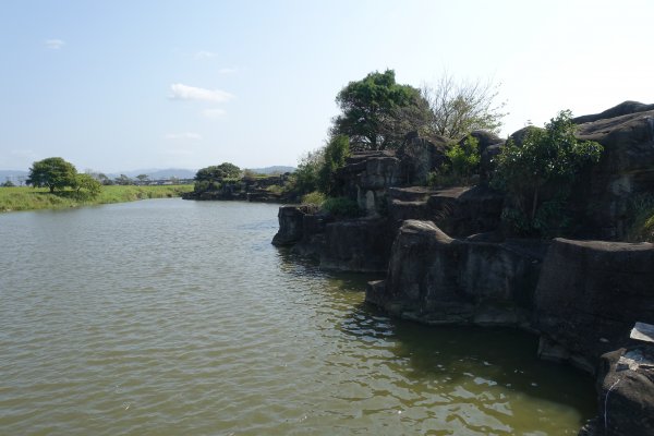 美堤公園花海．中427公園賞櫻1257998