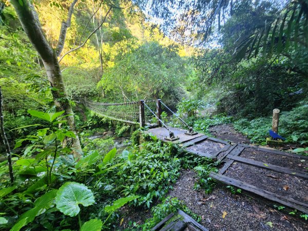 20240707馬胎古道2780984