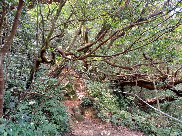 【屏東獅子鄉】海天一色。 台灣百大必訪步道~里龍山自然步道2550779