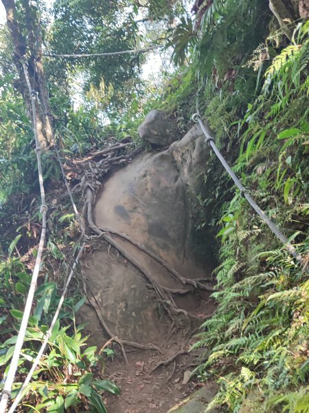 微笑山線：【二格山系】筆架連峰段2920964