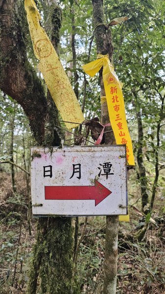 【中級山經典：水社大山、水社主峰】🥾4小時53分的征途，汗水與意志的考驗。2982578