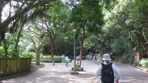 《新竹》城市微旅｜十八尖山+香山濕地賞蟹步道202511012928411