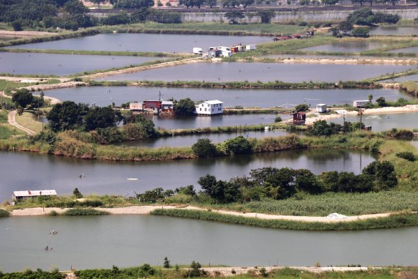 HK - 鐵坑，蛇嶺1268061