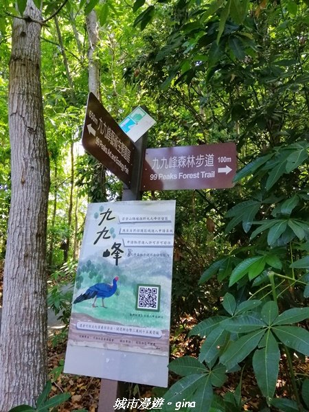 【南投草屯】台灣百大必訪步道。 九九峰森林步道2187110