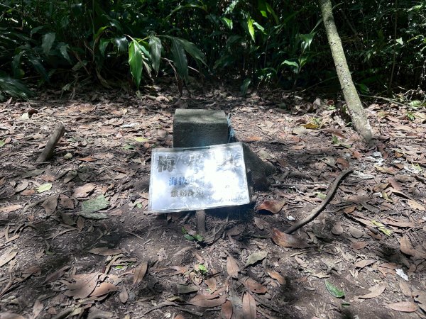 台北大縱走第四段2766859