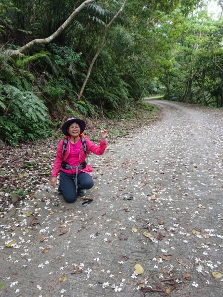 璀璨百年淡蘭古道～象寮古道、石空山、坪溪古道、梗枋古道O走1339446