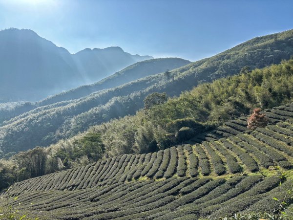 溪頭六連峰O繞2741798