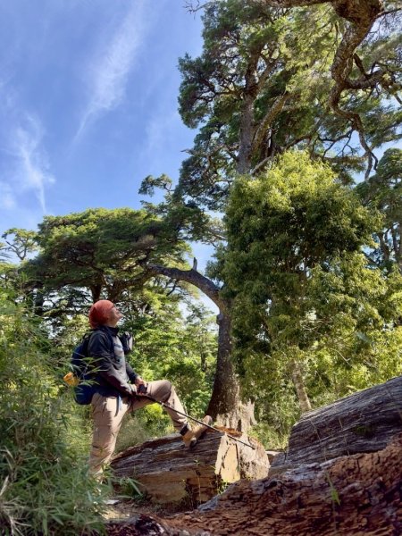20250620南橫三山塔關山2816707