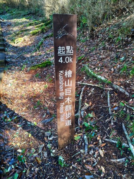 檜山巨木群步道1662803