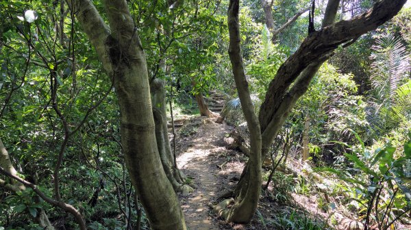 內冷水坑山,青龍嶺,大尖山,新加坡山,牛埔頭山,二尖山2569766