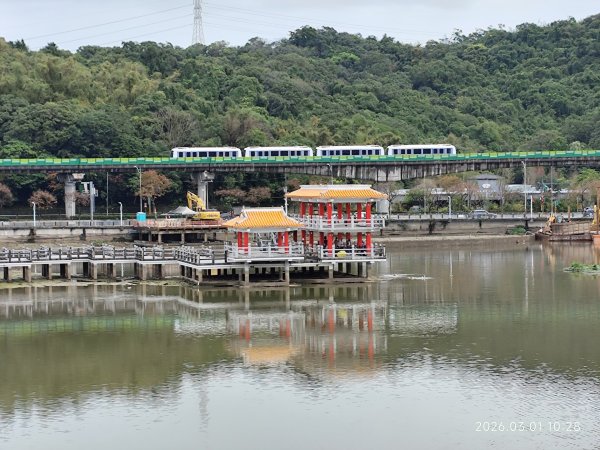 【臺北大縱走 4】大湖公園→大溝溪生態治水園區→圓覺瀑布→峯碧山圓覺寺→碧山巖→白石湖吊橋→碧湖公園3008920