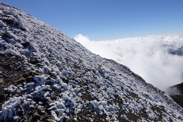 1051216~19雪山主東北下翠池80531