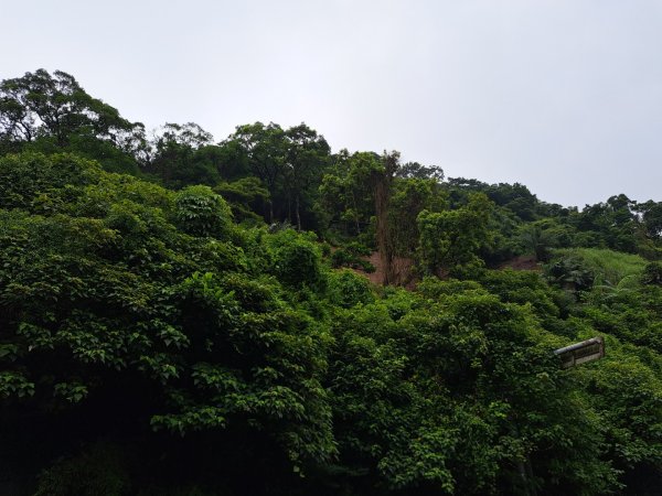 淡蘭中路第一段：暖東峽谷到十分老街3105662