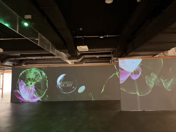 [山海圳_大圳之路_第一段] 2026_0228 茄拔天后宮_南湖口_西拉雅國家風景區3009144