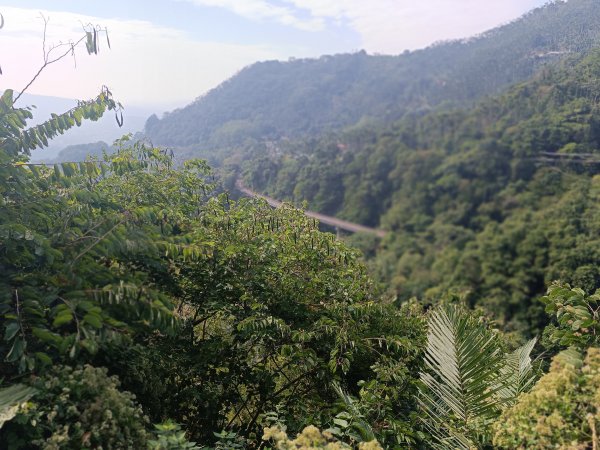 嘉義獨立山2983729