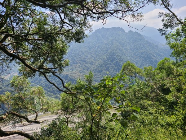 苗栗卓蘭大克山3103178